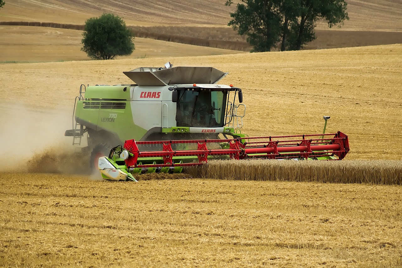 combine harvester, harvest, grain